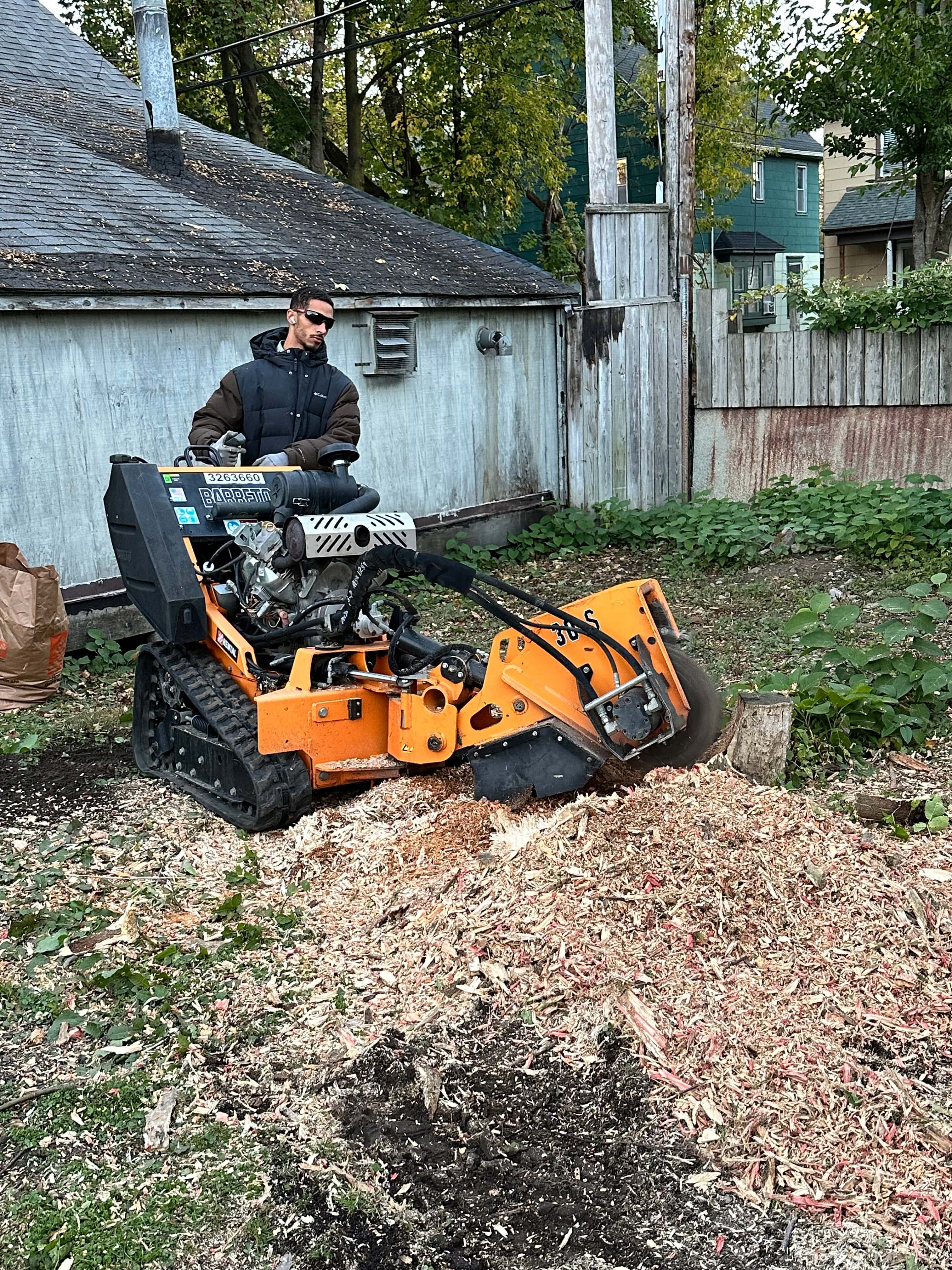 Treescape Project 10